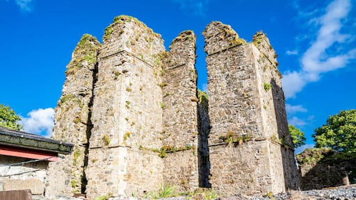 The castle ruins in Manorhamilton, erected in 1634 by Sir Frederick Hamilton - County Leitrim, Ireland
