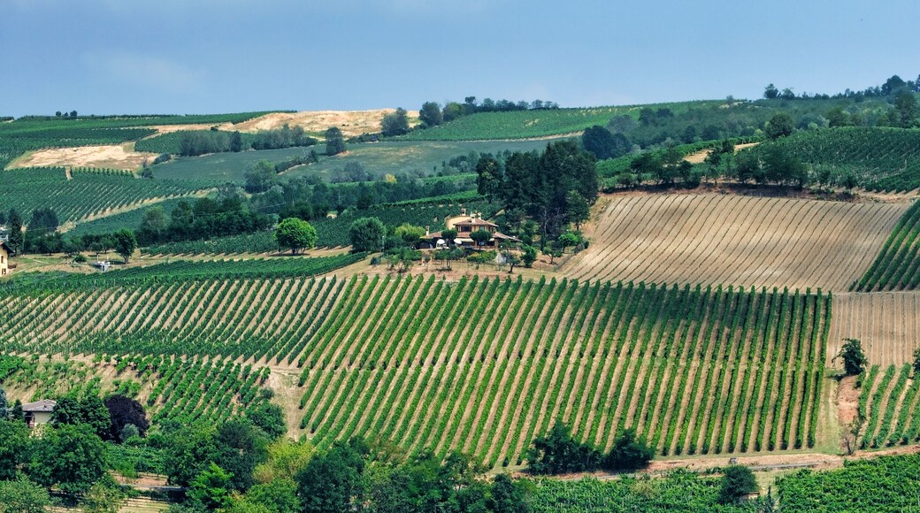 Oltrepo Pavese (Italy), rural landscape at summer