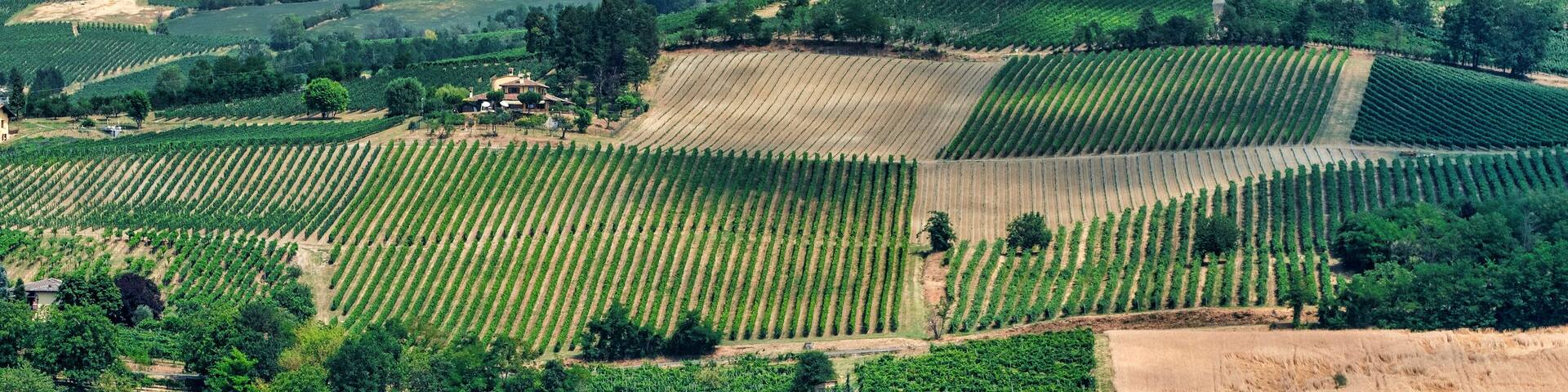 Oltrepo Pavese (Italy), rural landscape at summer