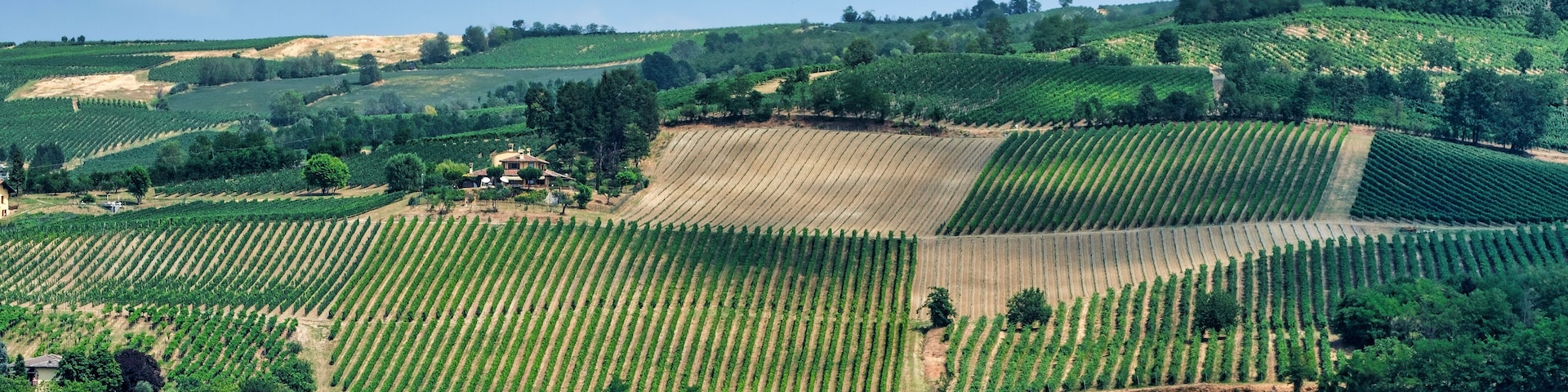 Oltrepo Pavese (Italy), rural landscape at summer