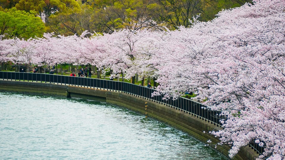 A bridge over water surrounded by cherry blossoms.