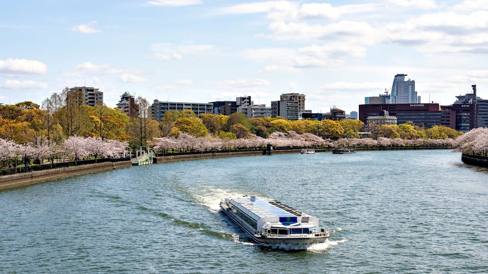 A river with a boat, cherry blossoms, and city buildings in the background.