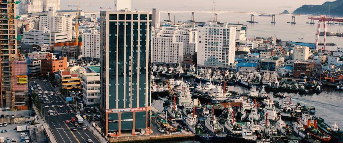 A busy harbor with numerous boats docked, a bridge in the background, and a modern building in the foreground.