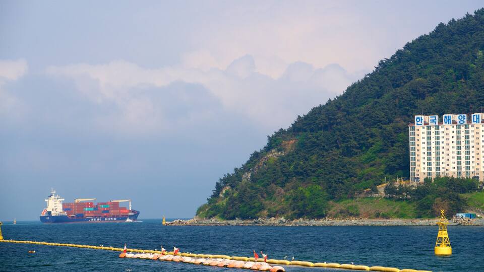 Yeongdo which includes boating, a bay or harbor and general coastal views