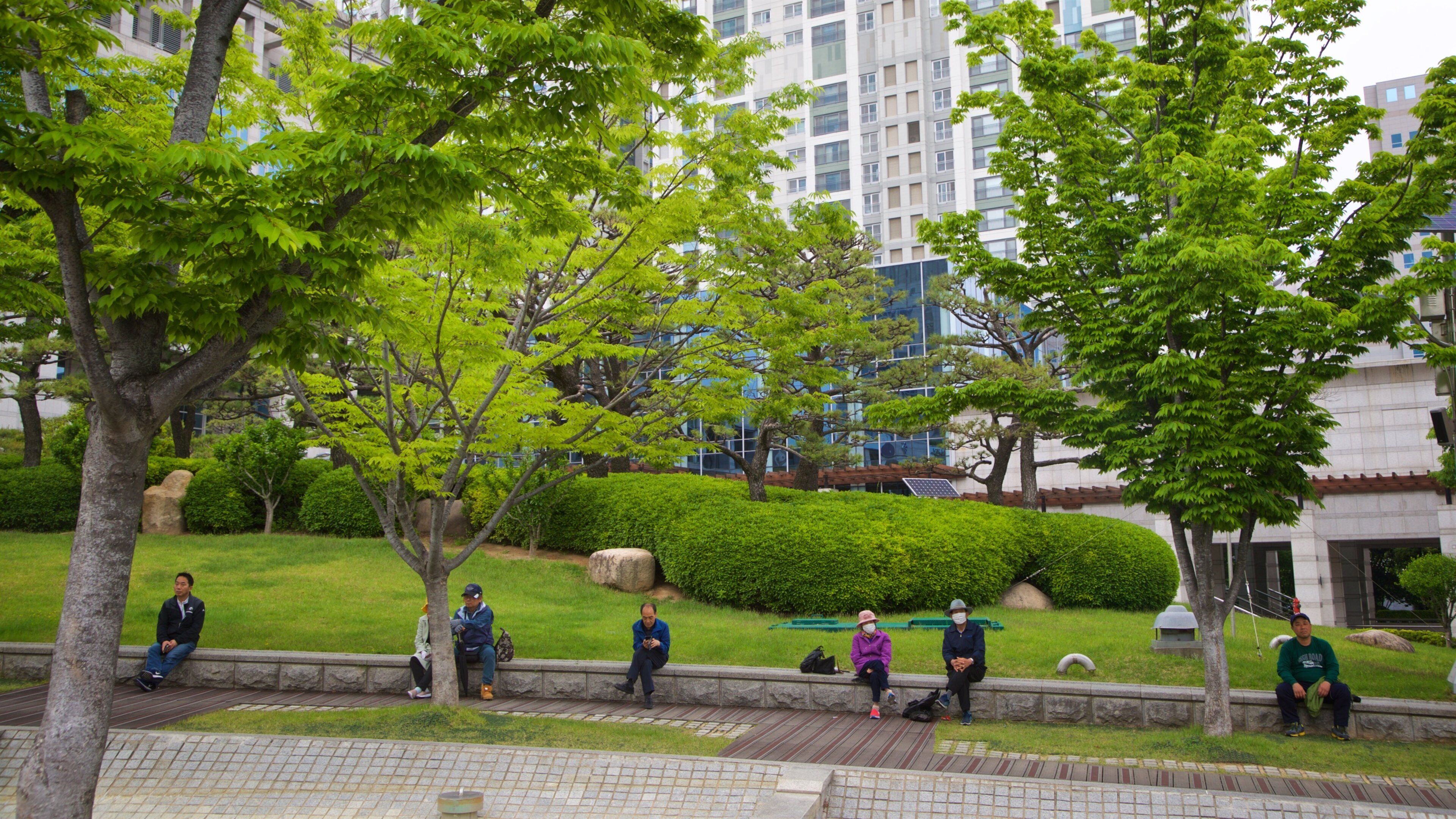 Yeonsan featuring a garden and a city as well as a small group of people