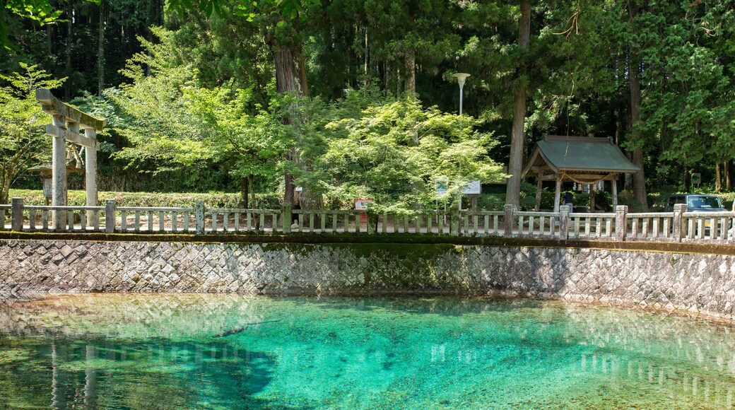 Beppu Benten Pond, Yamaguchi prefecture