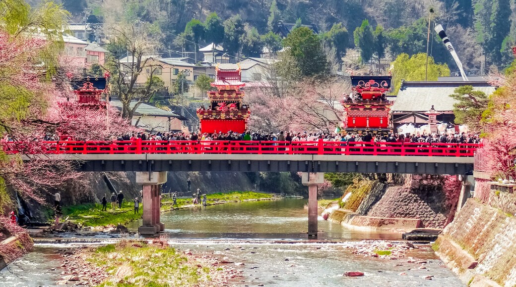 日本の祭り、飛騨高山、春の高山祭と桜