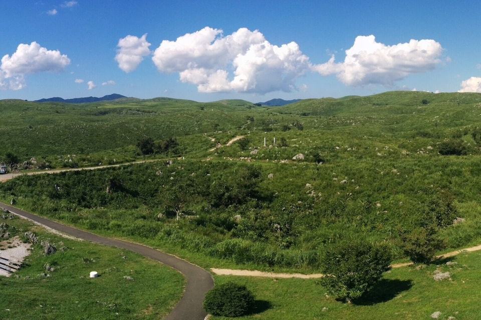 A green valley with a winding road, a bridge, and distant mountains.