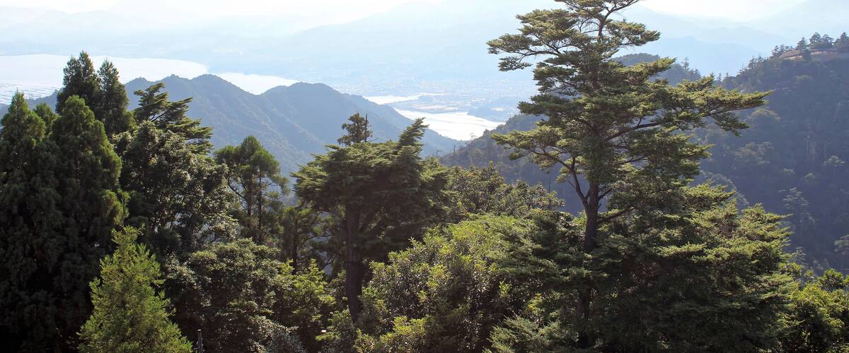 A mountainous landscape with dense forests and a river in the valley.
