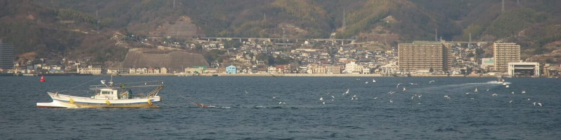 網を引いて走る漁船に集まる海鳥たち。漁夫の利ならぬ海鳥の利。