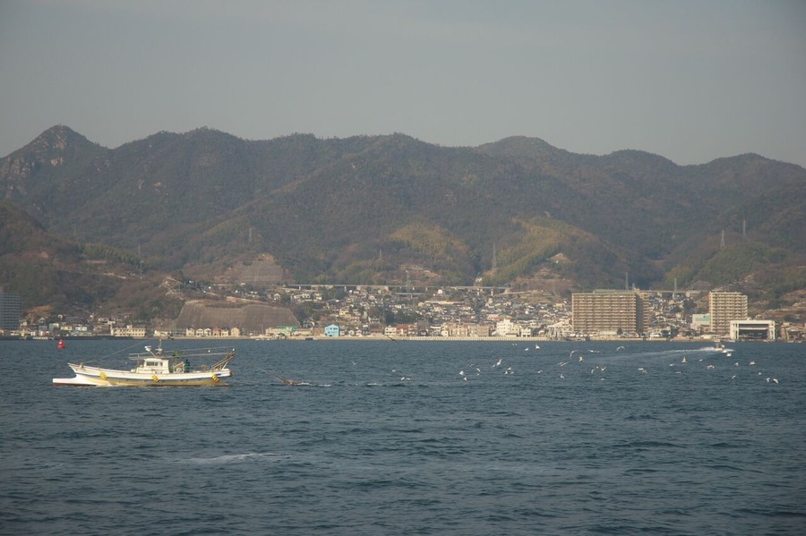 網を引いて走る漁船に集まる海鳥たち。漁夫の利ならぬ海鳥の利。