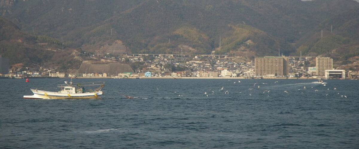 A coastal city with mountains in the background, a fishing boat, and several seagulls.