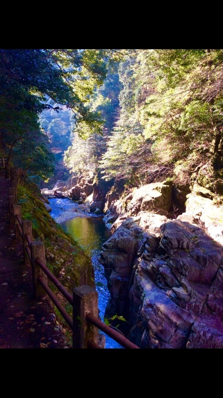 We had the amazing experience of being the guests of the rural village of Akiota. One of the things they gave to us was a hike up this beautiful river gorge during the perfect autumn foliage. 