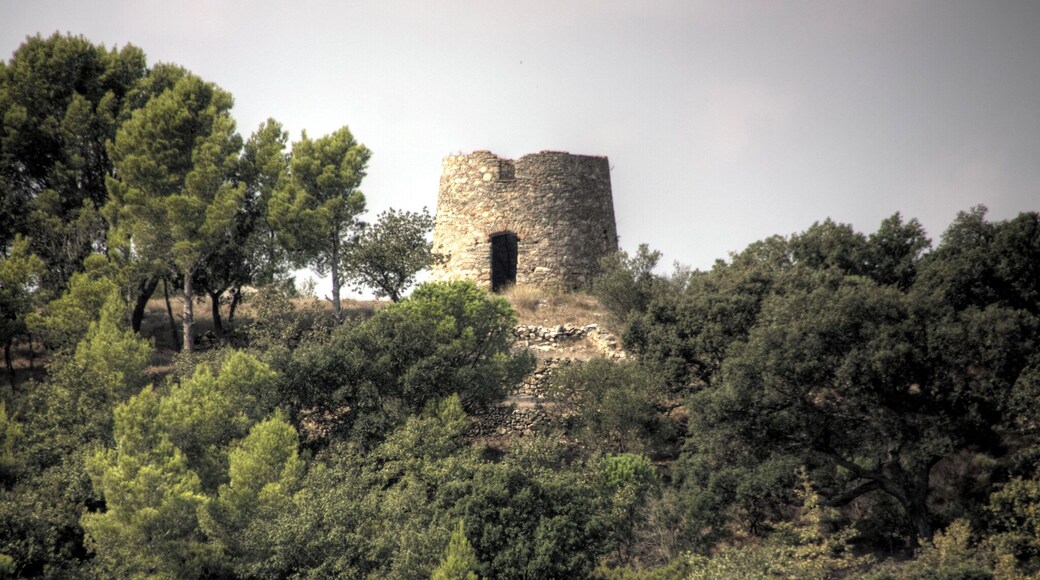 This is a photo of a monument indexed in the Catalan heritage register of Béns Culturals d'Interès Nacional and the Spanish heritage register of Bienes de Interés Cultural under the reference RI-51-0005998.