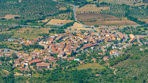 Aerial view of Palau-saverdera village in Spain