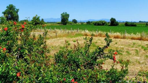 Camps de l'Empordà des de Vilamacolum