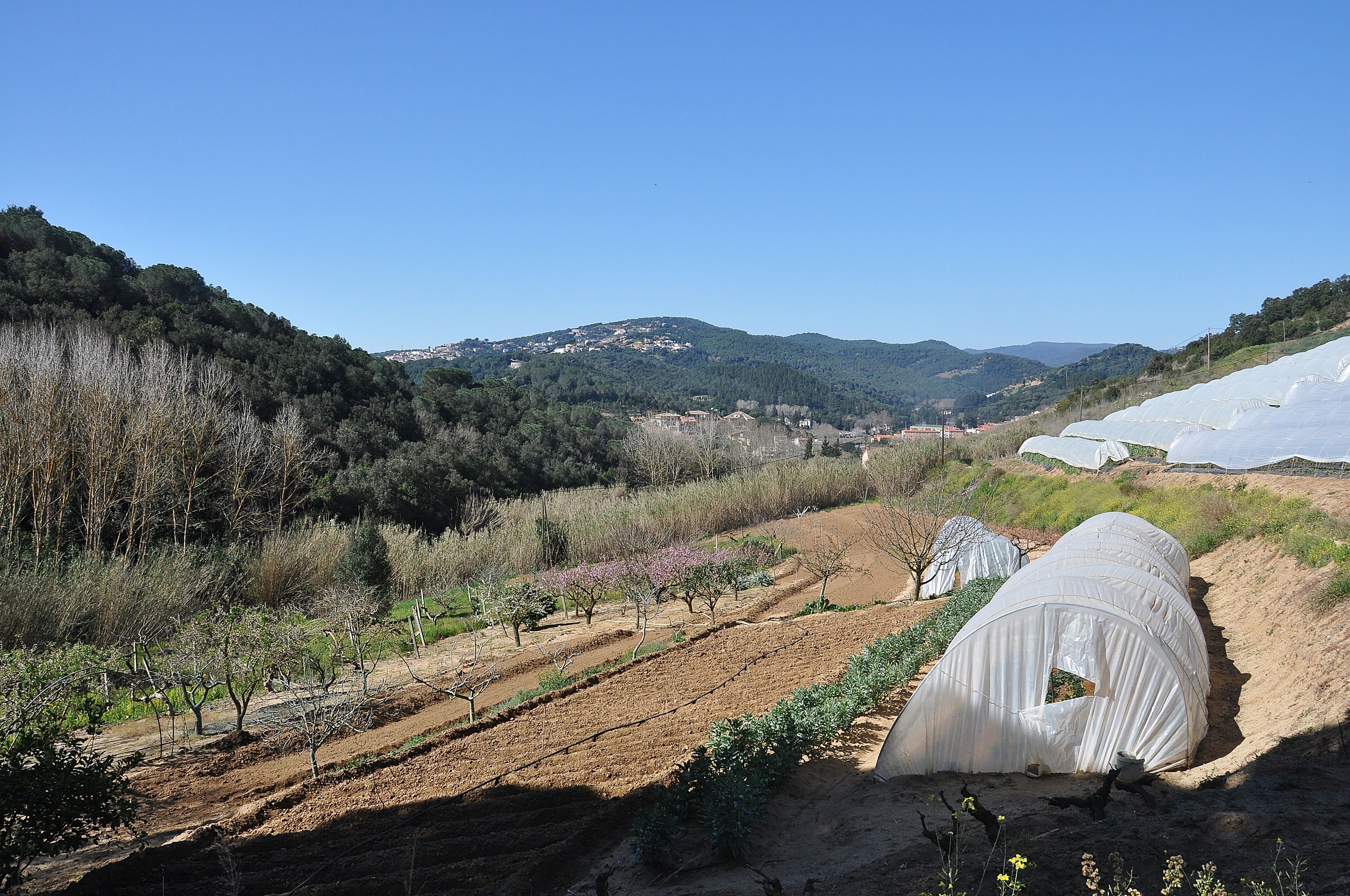 Panoramica de los invernaderos de sant cebria-Cataluña