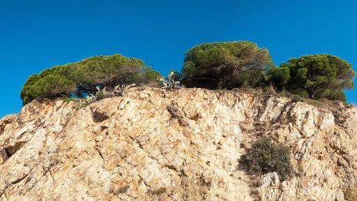 Sant Cebria de Vallalta