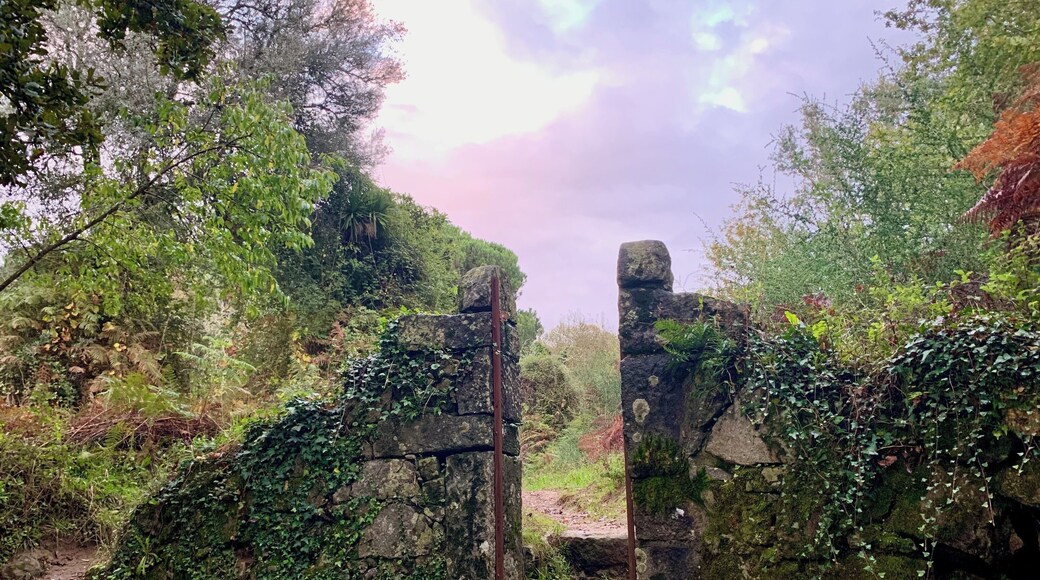 The trail of seven fountains in Braga, Portugal. This lovely little trail is nestled in between residential neighborhoods in the city. It has an aqueduct left from Roman times and fountain structures dating back to the 1700s. Beautiful little gem!
#history #hiking #Braga #Portugal #green