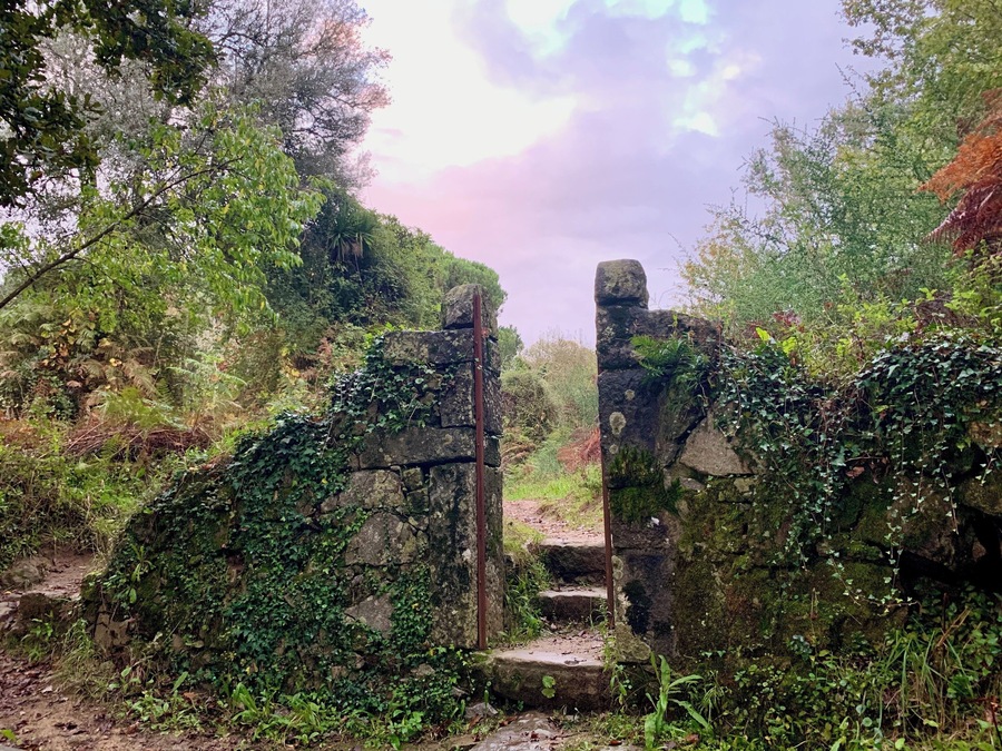 The trail of seven fountains in Braga, Portugal. This lovely little trail is nestled in between residential neighborhoods in the city. It has an aqueduct left from Roman times and fountain structures dating back to the 1700s. Beautiful little gem! 
#history #hiking #Braga #Portugal #green