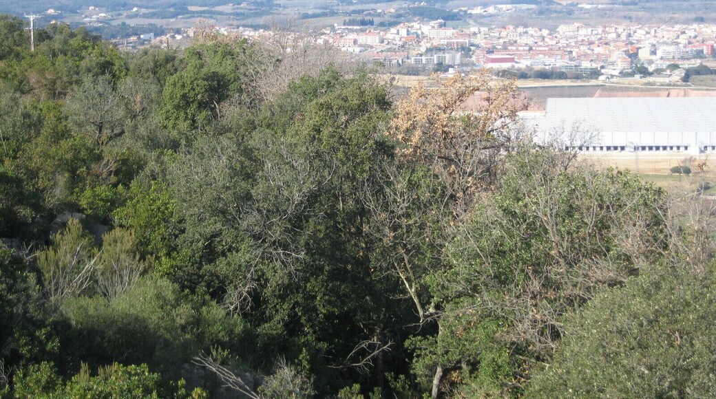 Castell PALAFOLLS Vistes 002