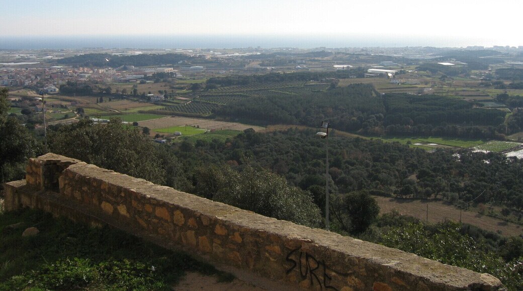 Castell PALAFOLLS Vistes 013