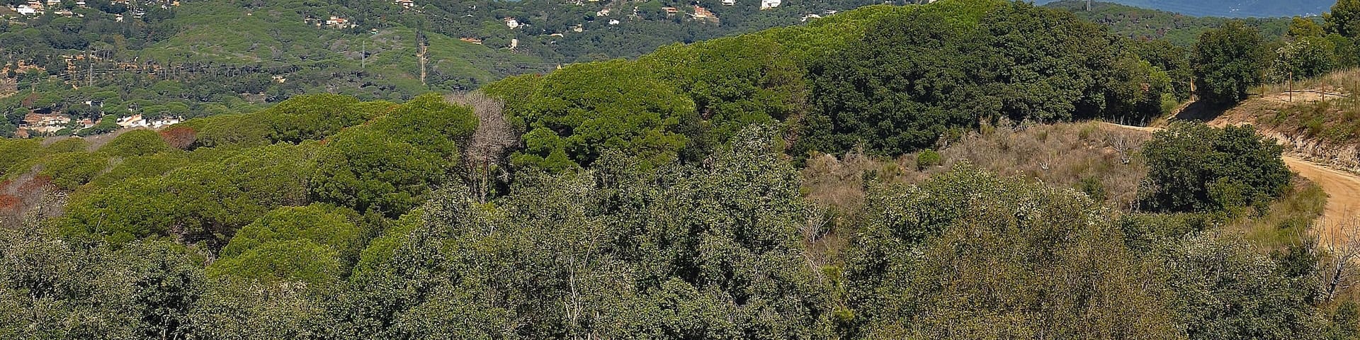A mountainous landscape with scattered houses and dense green vegetation.