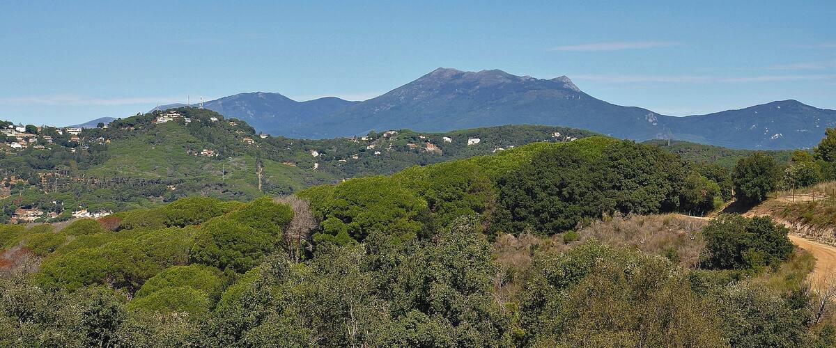 A mountainous landscape with scattered houses and dense green vegetation.