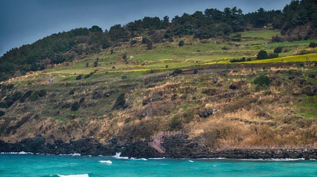 Hamdeok Beach has it all. The bluest shade of water you'll ever see, soft white sand, volcanic rocks to remind you that you're on a dormant volcano, and a beautiful oreum to get lost around in the background. đŽ #jeju #jejuisland #ì ìŁŒ #ì ìŁŒë #íšëíŽëł #beach#50shadesofblue#asia#discoverkorea #southkorea #coreedusud #spring#travelphotography #landscapes