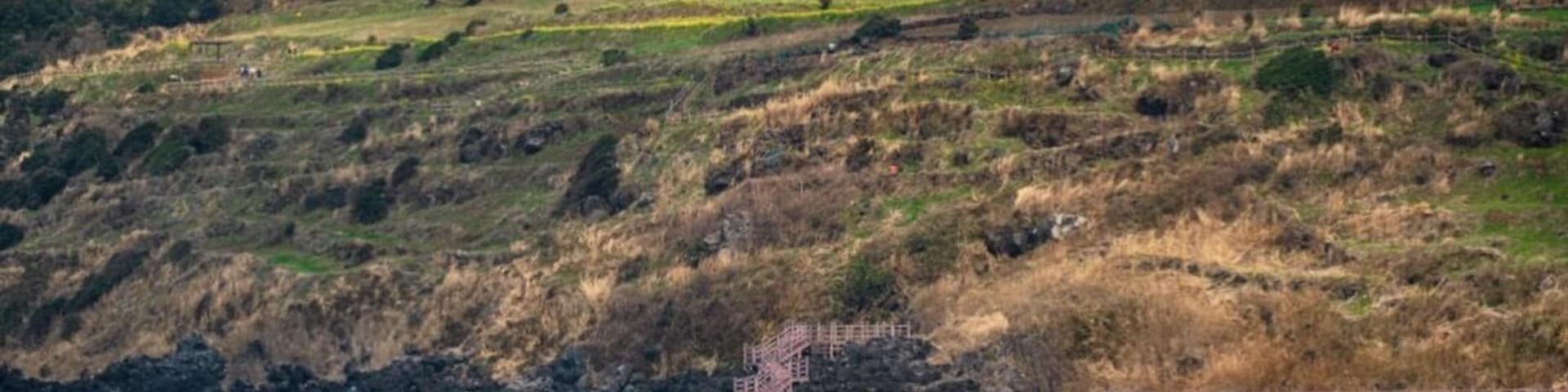 A coastal landscape with a rocky shoreline, a staircase leading up a hill, and a forested hilltop.