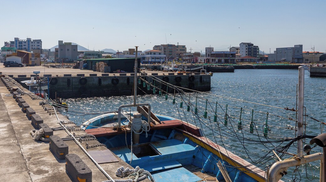 EyeEm Custom Shoots Q4 2018