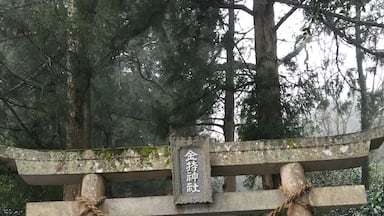 金持神社