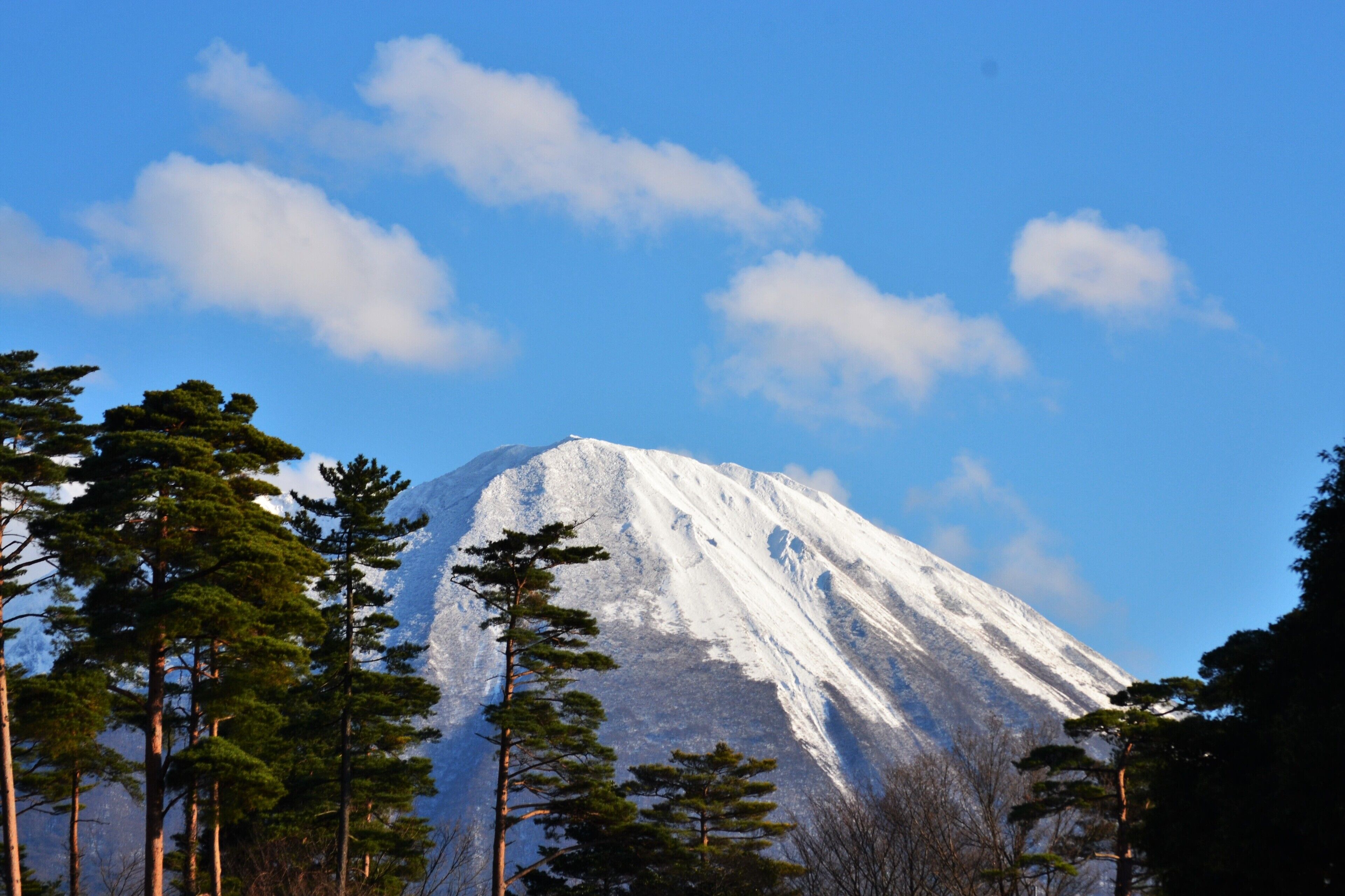 森の国大山フィールドアスレチックから見た大山