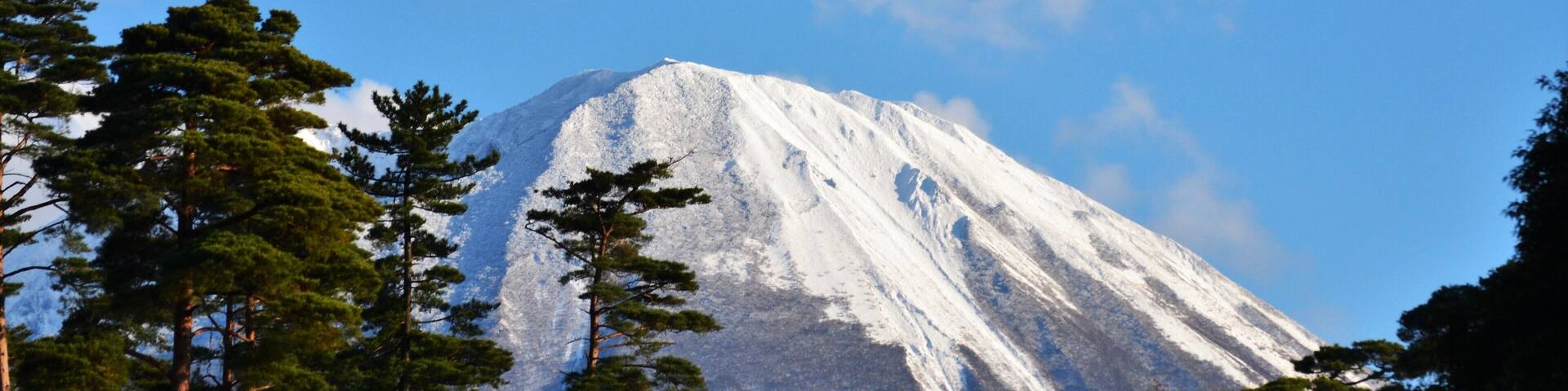 森の国大山フィールドアスレチックから見た大山