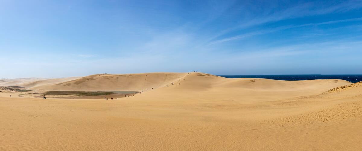 A vast desert landscape with sand dunes and a clear blue sky.