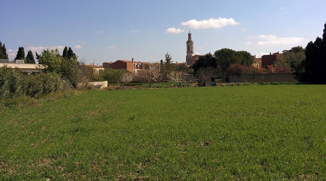 Església de Sant Andreu de Borrassà (Borrassà)