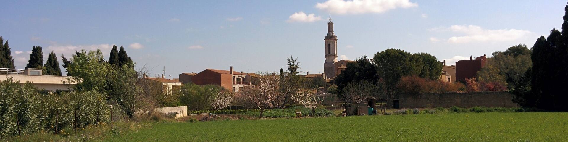 Església de Sant Andreu de Borrassà (Borrassà)