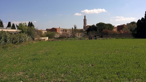 Església de Sant Andreu de Borrassà (Borrassà)