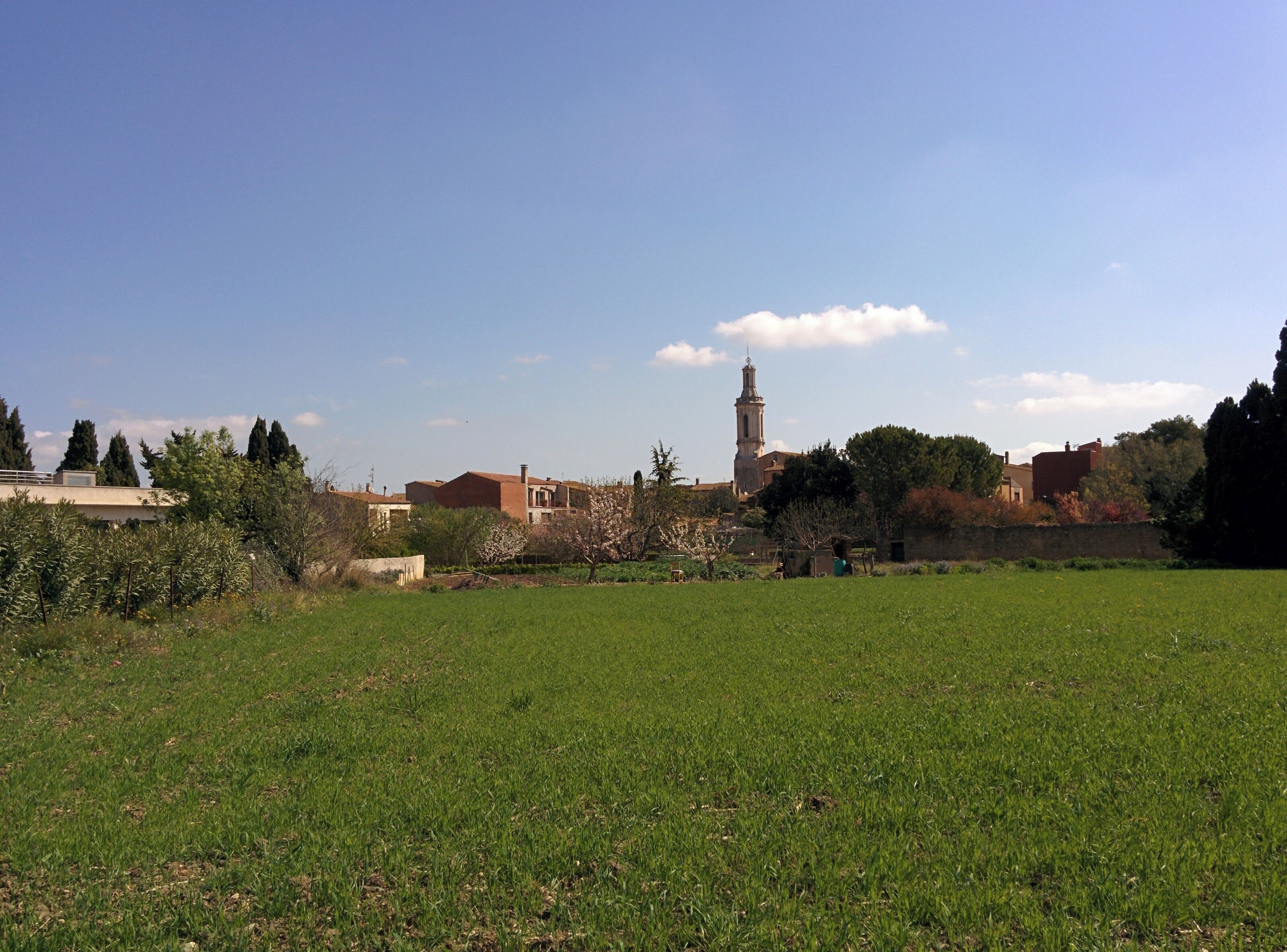 A green field, a church with a tall tower, and a few trees.
