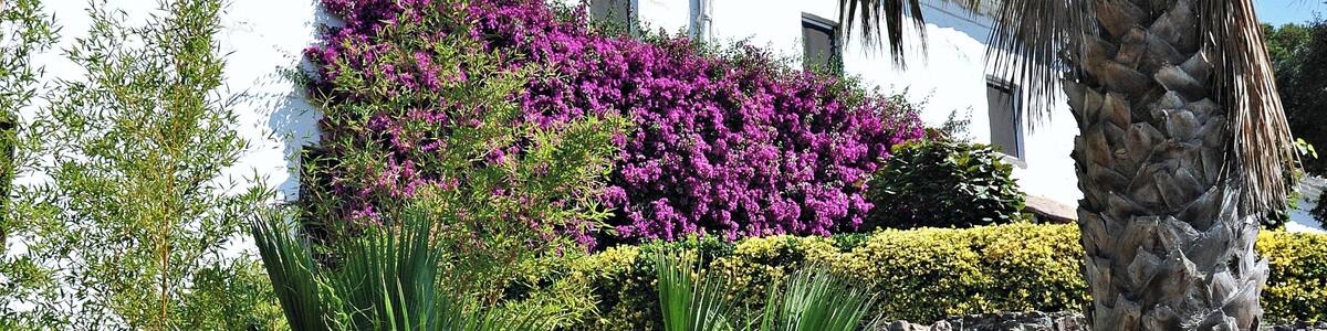 baix emporda-cataluña