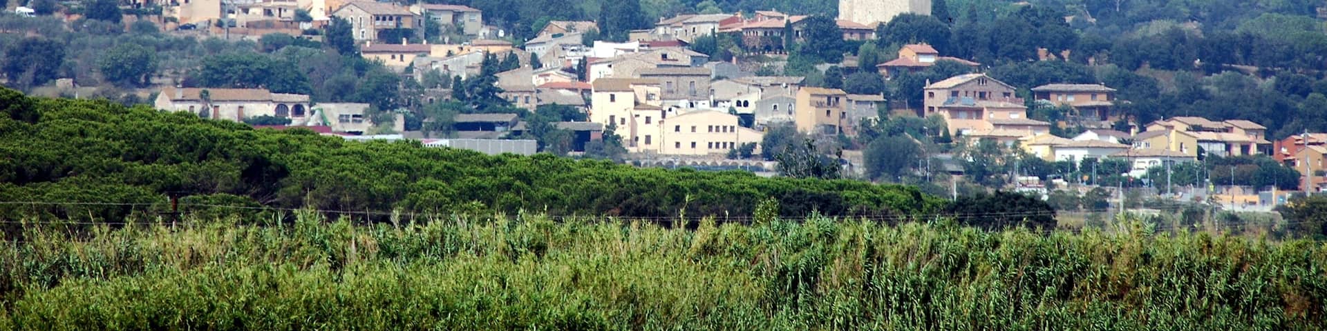 Església parroquial de Sant Esteve (Mont-ras)
