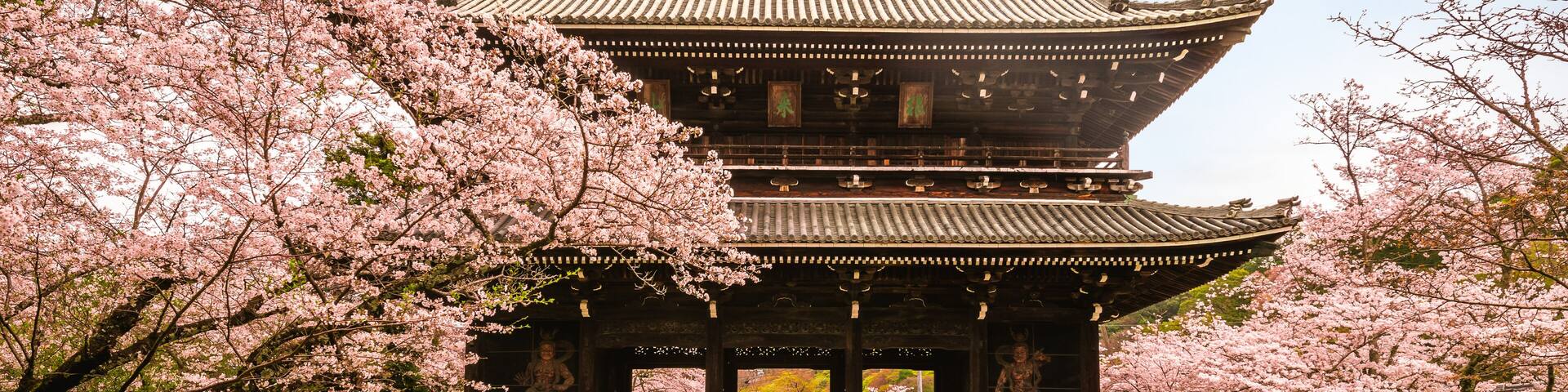 Daimon of Negoro ji temple in Iwade city of Wakayama, Kansai, Japan. Translation: Negoro Temple