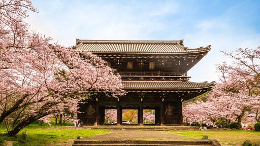 Daimon of Negoro ji temple in Iwade city of Wakayama, Kansai, Japan. Translation: Negoro Temple