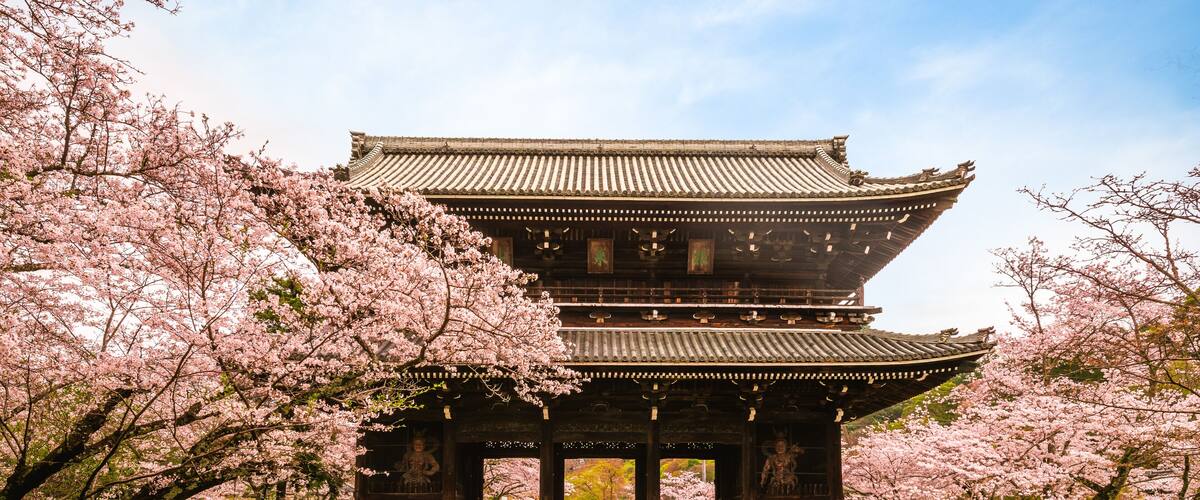 A traditional Japanese building with a multi-tiered roof, surrounded by cherry blossom trees.