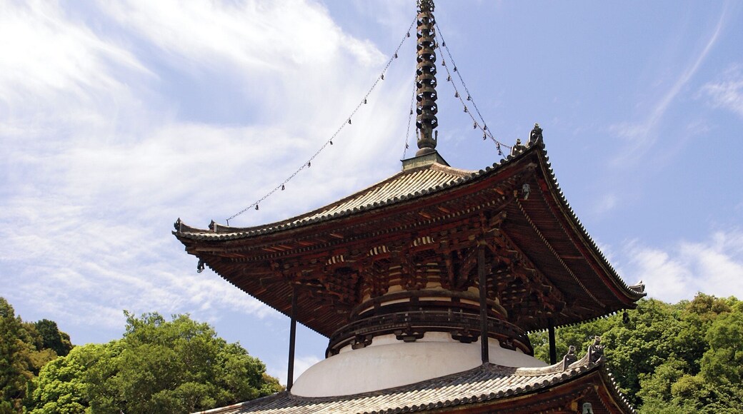 Pagoda of Negoro-ji is Japan's National Treasure, in Iwade, Wakayama prefecture, Japan