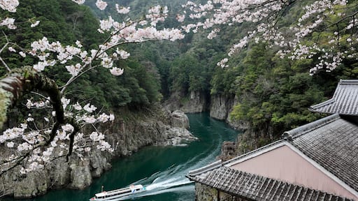 Shatorokyo Gorge in Spring, Japan,Nara Prefecture