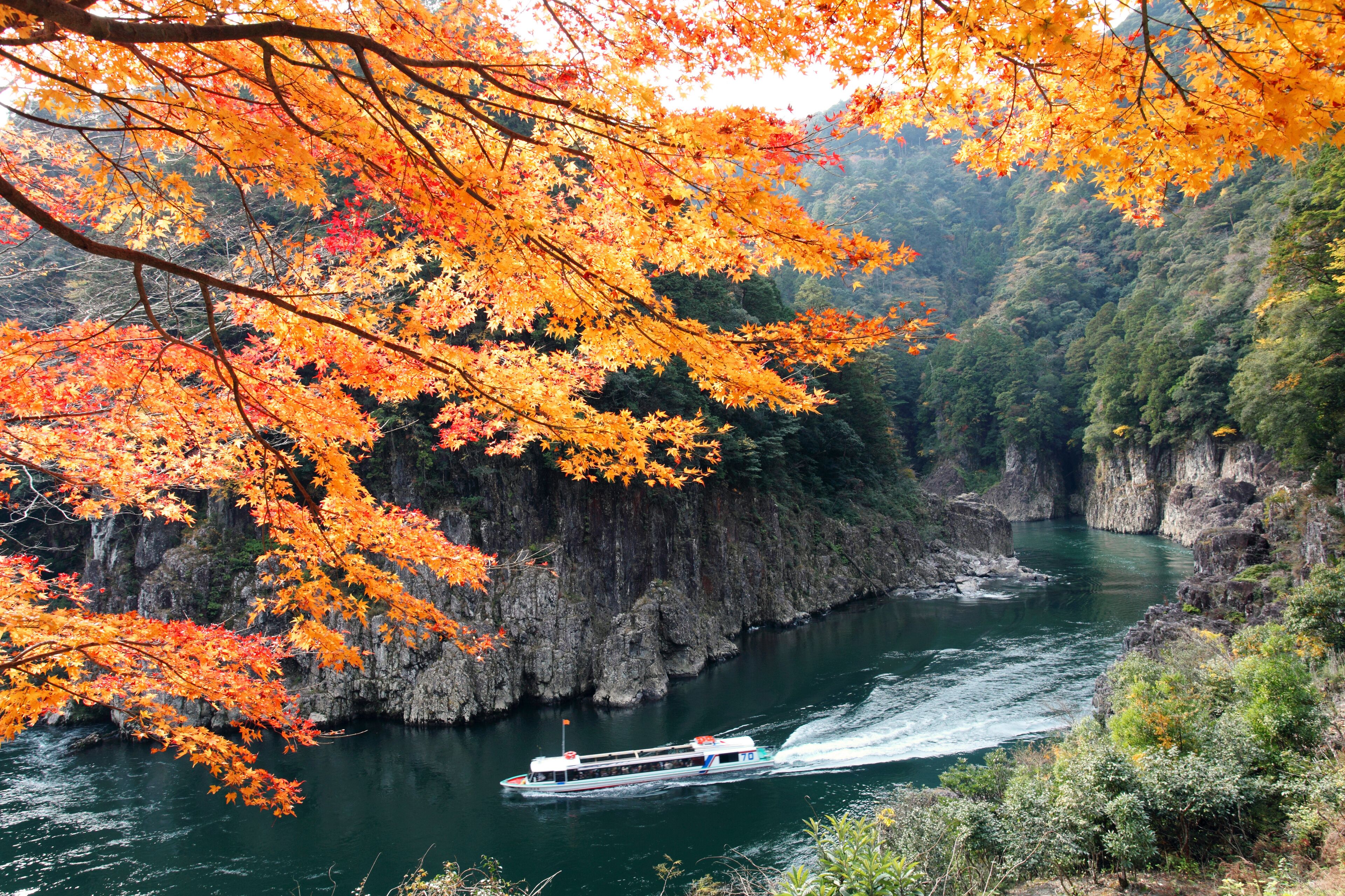 Autumn leaves of Torokai , Totsukawa, Nara,Nara Prefecture,Japan November 2010