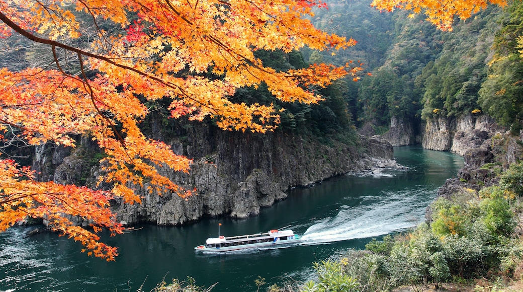 Autumn leaves of Torokai , Totsukawa, Nara,Nara Prefecture,Japan November 2010
