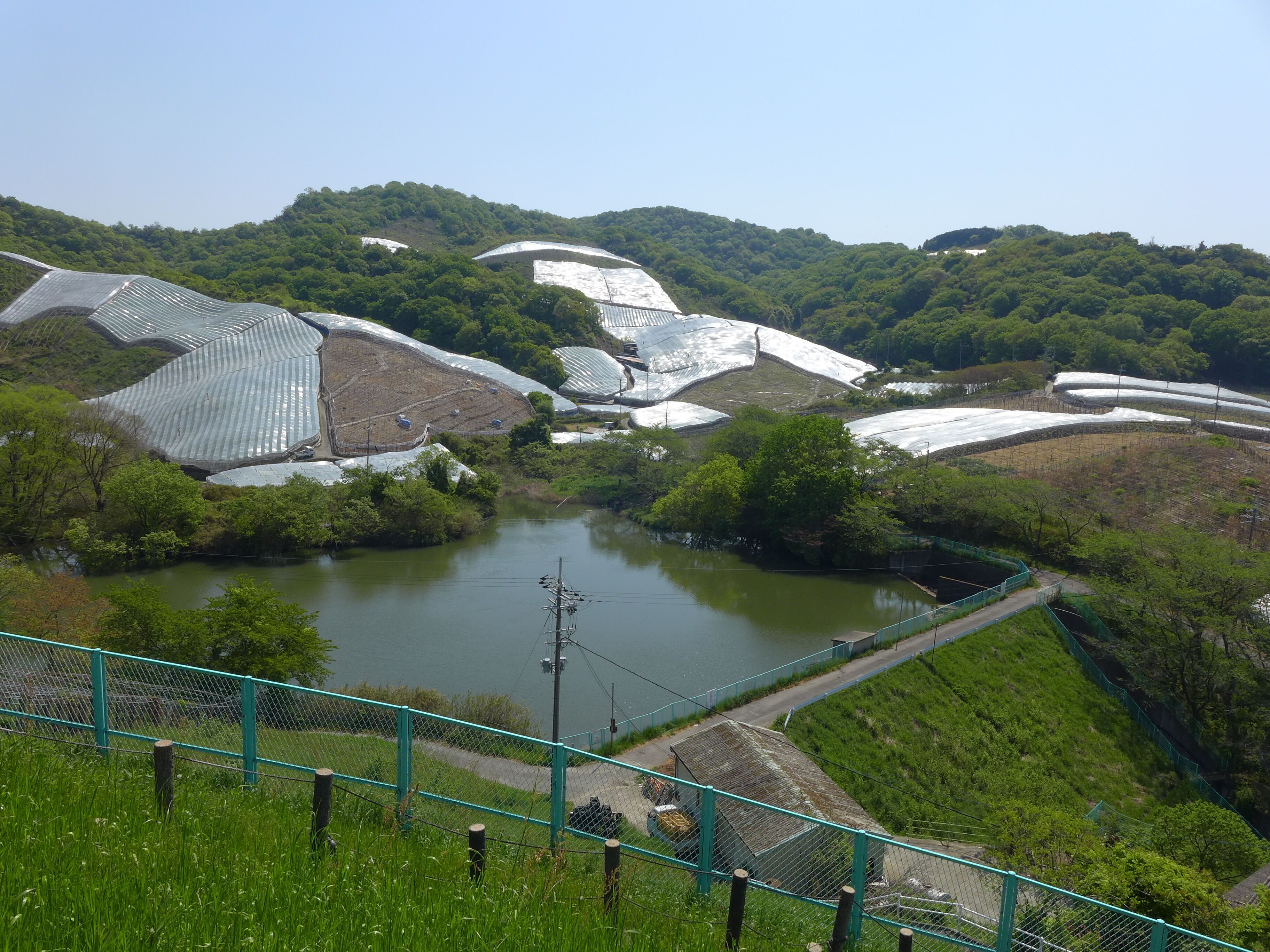 A landscape with a pond, green fields, and solar panels on hills.
