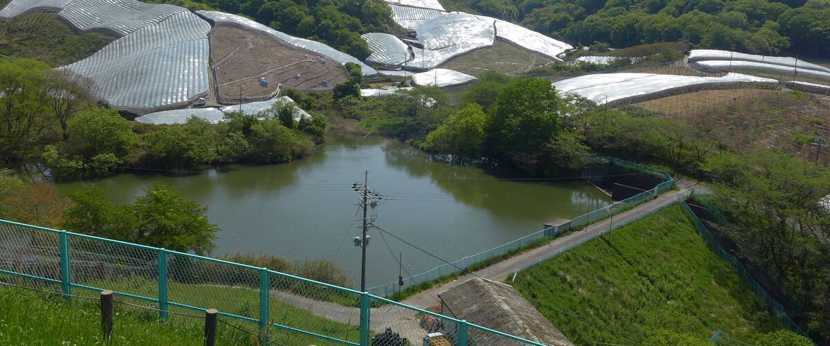 A landscape with a pond, green fields, and solar panels on hills.
